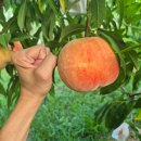 참새골농원 이미지