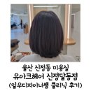 울산 신정동 미용실, 유아크헤어 클리닉 후기 (섬세한 케어! 일우디자이너쌤 감사합니다^^)