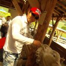 강릉목장 이미지