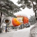 좌구산 천문대 이미지