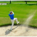 그린골프클럽 이미지