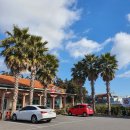 올레길국수 이미지