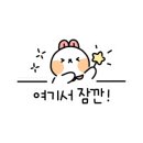 한사랑동물병원 이미지