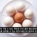 치매 예방 달걀 꼭 이렇게 드세요 ! ♡ 이미지