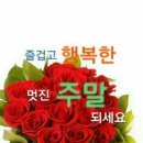 꽃 이미지