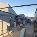 안한농장 이미지