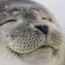 (주)유토피아 이미지