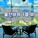 [강원도 고성] 델피노 더 앰브로시아 오픈런 성공기ㅣ울산바위 뷰 명당 자리 선점 꿀팁 📍