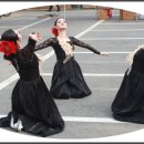 인삼약초시장 이미지