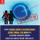 초이스맘 Daum카페