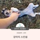 청학동물병원 이미지