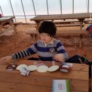 금와농장 이미지