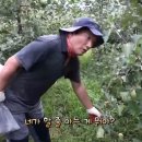 사노라면 이미지