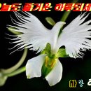 더삼칠사 이미지