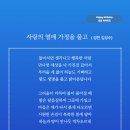 사랑의 열매 가정을 품고 (성천 김성수) 생일축하시 아침에 떠오르는 태양처럼 붉고 해살처럼 다정하게 함께 살련다 이미지