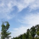 윤각장군 묘 | 20.05.27.방축천 산책