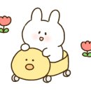 팔당두잉 이미지
