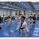 용인대 한얼 태권도 이미지