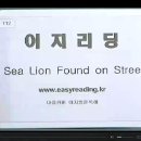 112 Sea Lion Found on Street 이미지