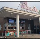 새들의 정원 | 꽃향기 속에서 새들과 썸 타기 경기도 실내 데이트 끝판왕 가평베고니아새정원 방문기!