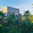 마로니에 미니골프 이미지