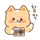 동백별관 이미지