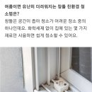친환경청소 이미지
