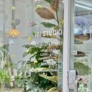 송내농장 | 부천 송내역 꽃집 IBI STUDIO 집에서 키우기 쉬운 가을국화 화분