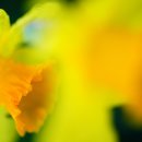 하리보건진료소 이미지