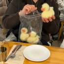 방배천로4안길 55 이미지