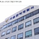 의사, 모델, 인플루언서…강남 클럽서 마약하다 '무더기 검거' 이미지