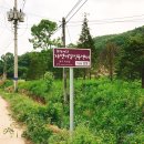 자전거여행 2일차 !! 양평군(양평군립미술관 인증센터) ~ 충주시(충주탄금대 인증센터)!! 인증여행...