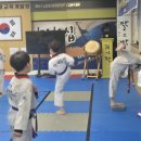 사랑 태권도 이미지