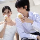 홍스하우스