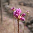 전의를디자인하는사람들 이미지