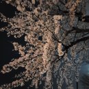 우리슈퍼내