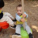 금모래 어린이집 놀이터 이미지