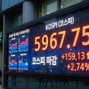 5967 위키트리