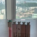 립스틱 - 제주시 신광로 21 | 디올 신상 립스틱 후기 (마이디올, 로즈참)