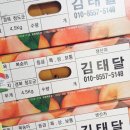 소라농장 이미지