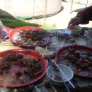 시내목장 이미지