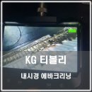 포니카디테일링