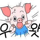 존슨부대찌개 김포풍무점