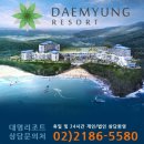 대명리조트 이데일리