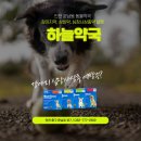영종도 동물약국 이미지