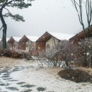 휴토피아 빌리지 이미지