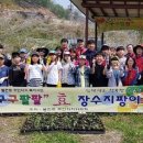 구구팔팔 이미지