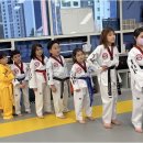 국가대표탑태권도장 이미지