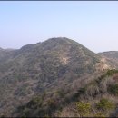 백양산임도(2) 이미지