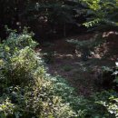 창원 내동패총 이미지